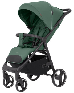 Прогулочная коляска Carrello Bravo