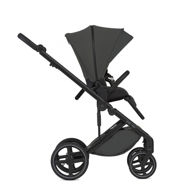 Детская коляска Anex Mev 2 в 1