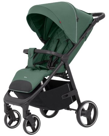 Прогулочная коляска Carrello Bravo