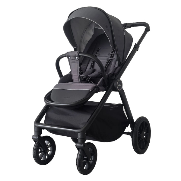 Детская коляска Indigo Trion 3 в 1