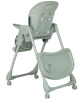 Стульчик для кормления Carrello Lotus