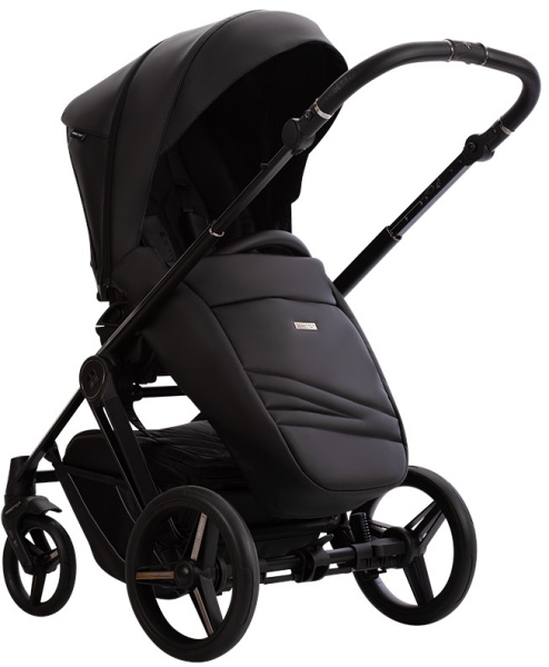 Детская коляска Bebetto MONTI PRO 3 в 1