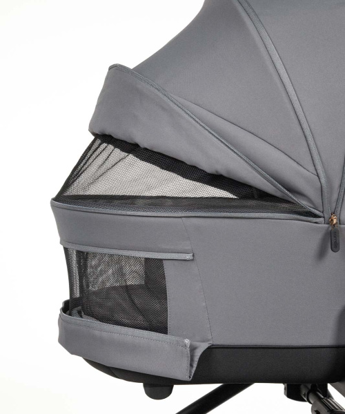 Детская коляска Carrello Epica 2 в 1