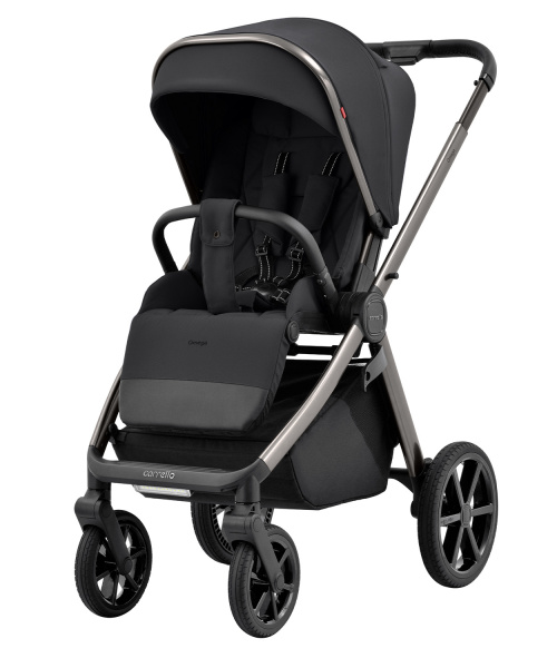 Детская коляска Carrello Omega 2 в 1