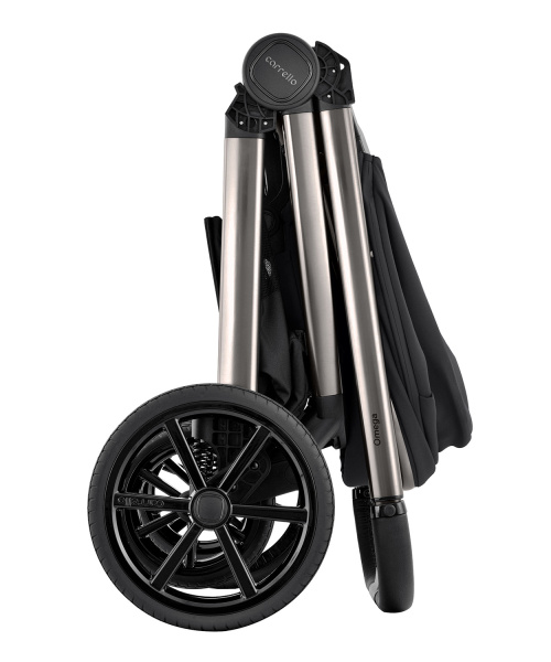 Детская коляска Carrello Omega 2 в 1