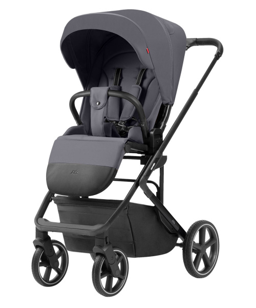 Детская коляска Carrello Alfa 2 в 1