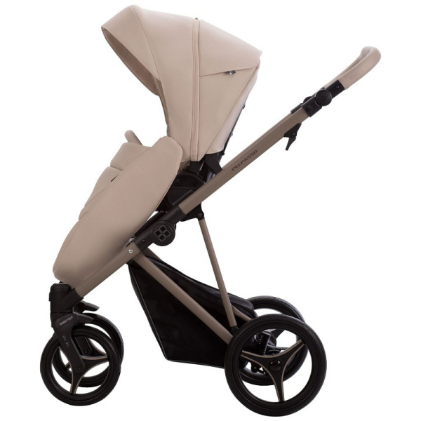 Детская коляска Bebetto PELPASSO PRO 2 в 1