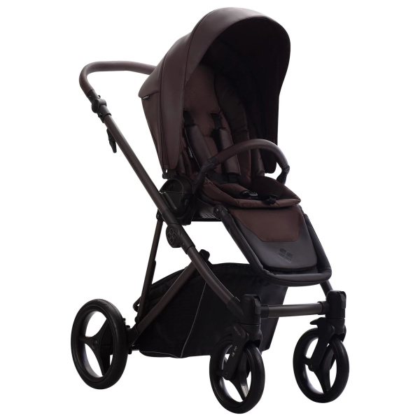 Детская коляска Bebetto PELPASSO PRO 3 в 1