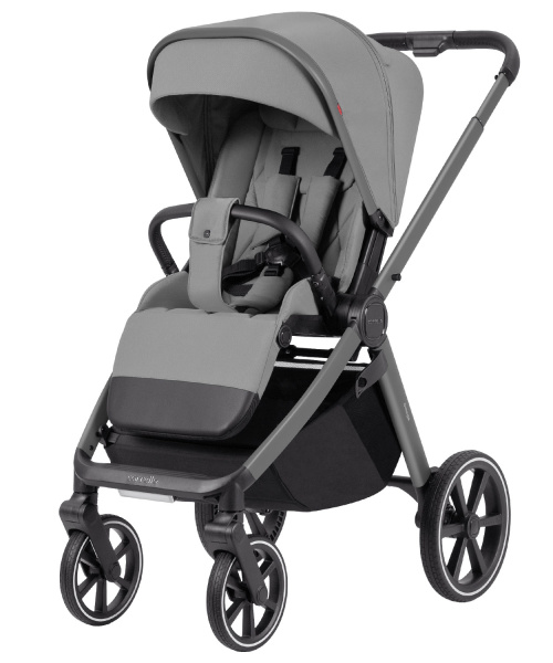 Детская коляска Carrello Omega Deluxe 2 в 1