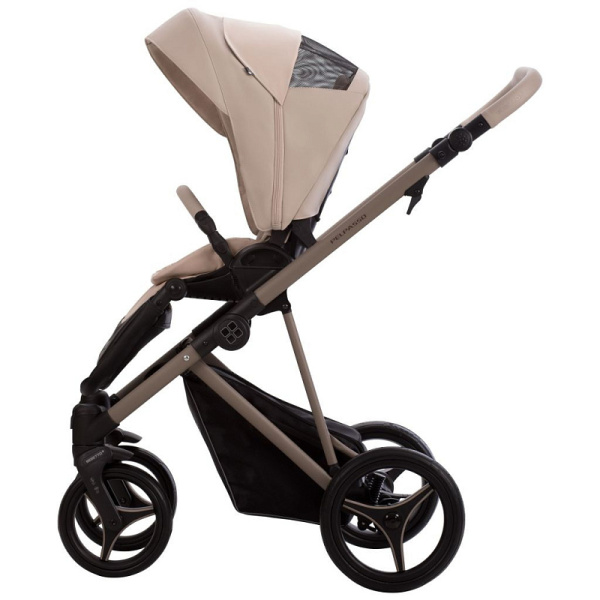 Детская коляска Bebetto PELPASSO PRO 2 в 1