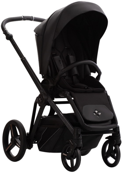 Детская коляска Bebetto MONTI PRO 3 в 1
