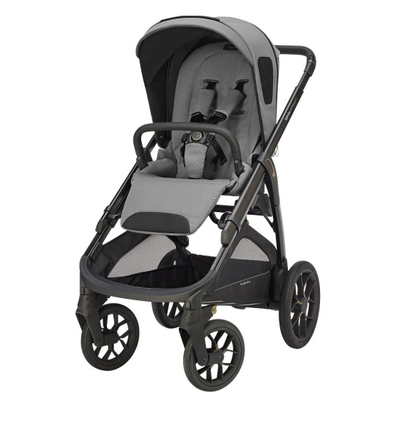 Детская коляска Inglesina Aptica XT 2025 2 в 1