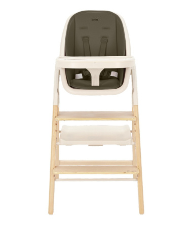 Стульчик для кормления Carrello Ergo