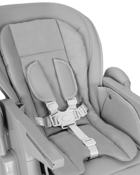 Стульчик для кормления Carrello Lotus