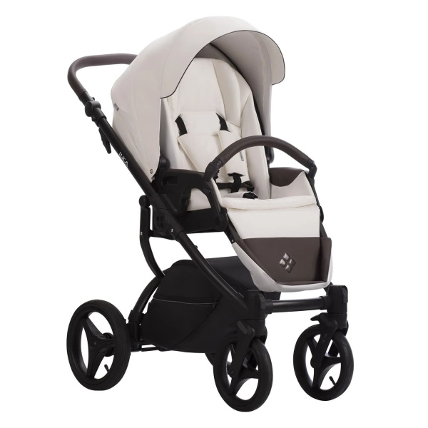 Детская коляска Bebetto LUCA PRO 2 в 1